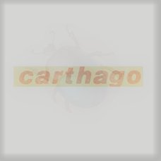 57-070751 STICKER 'CARTHAGO' ROOD